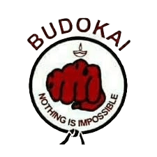 Budokai